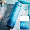 Thermos Thé Inox avec filtre Bleu motifs poissons