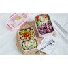 Lunch Box Enfant Inox Compartimentée Violette rose Motifs cartoon
