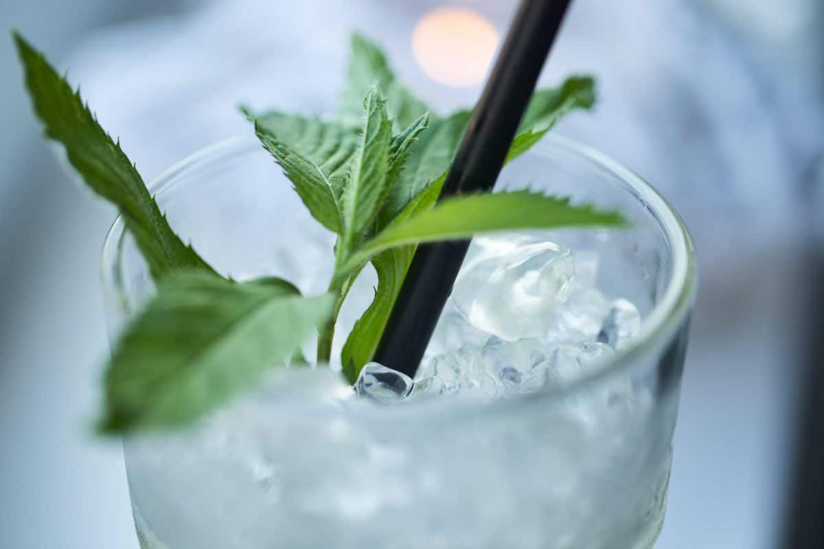 Rhum Blanc