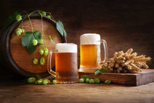 Comment choisir la levure idéale pour votre kit de brassage ?